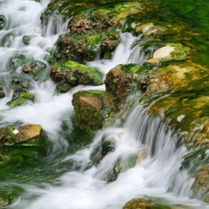 东方视觉