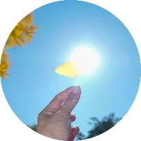 山间一颗豆