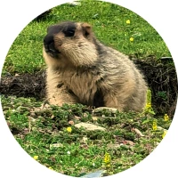 路灯