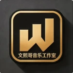 文熙哥音乐工作室