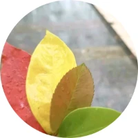 易可微难